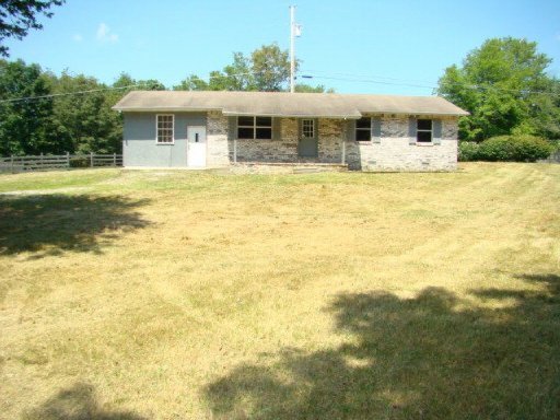 Primary Photo