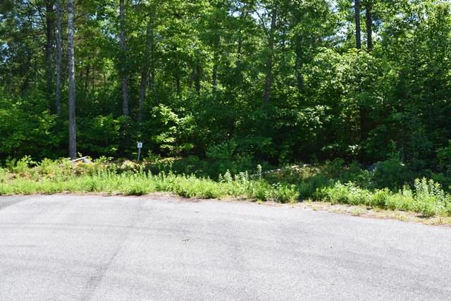 Lot 7 Surry Ridge Surry, ME 04684 - Photo 10 of 13 Surry Ridge Subdivision Surry 010