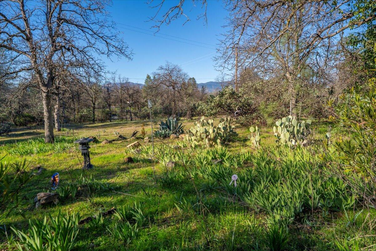 11746 Nash Road Redding, CA 96003 - Photo 13 of 15 34-11746 Nash Rd - E-34