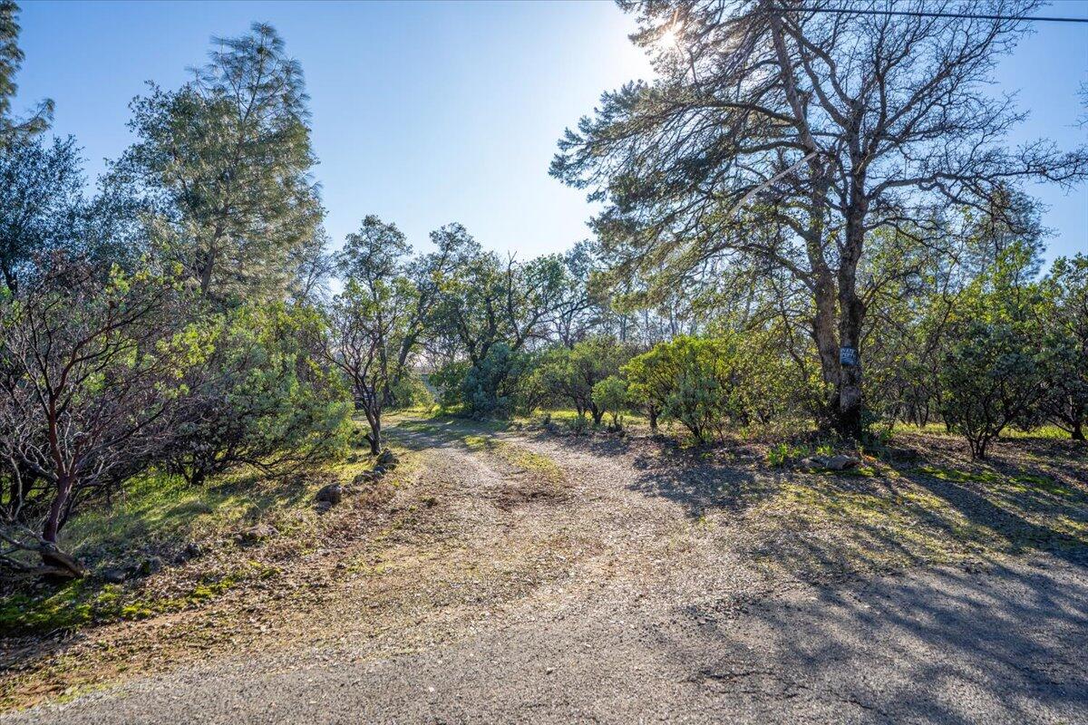 11746 Nash Road Redding, CA 96003 - Photo 4 of 15 36-11746 Nash Rd - E-36