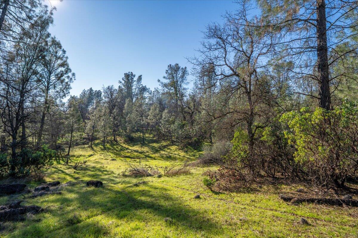 11746 Nash Road Redding, CA 96003 - Photo 10 of 15 25-11746 Nash Rd - E-25