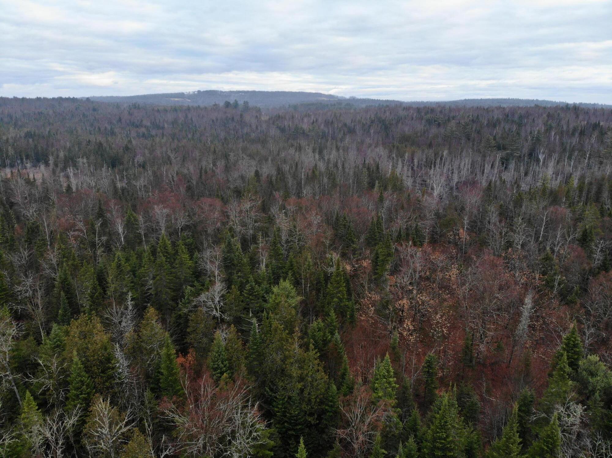Map5-lot1 Silvers Mills Road Sangerville, ME 04479 - Photo 23 of 33