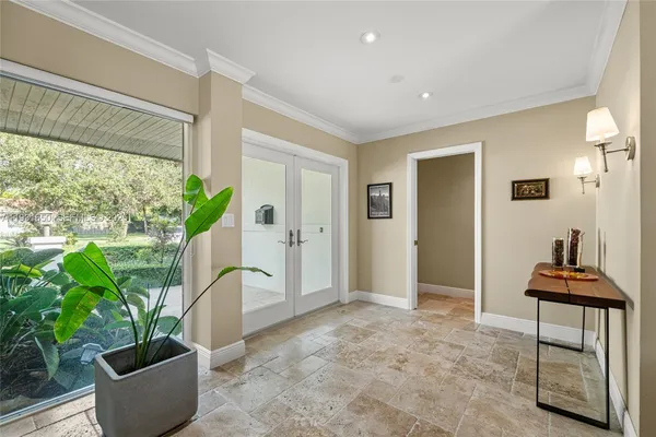 a view of a potted plant in a room