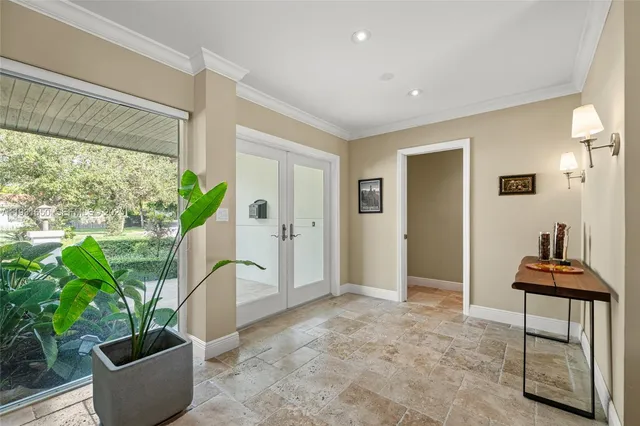 a view of a potted plant in a room