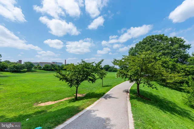 a view of a garden with a pathway