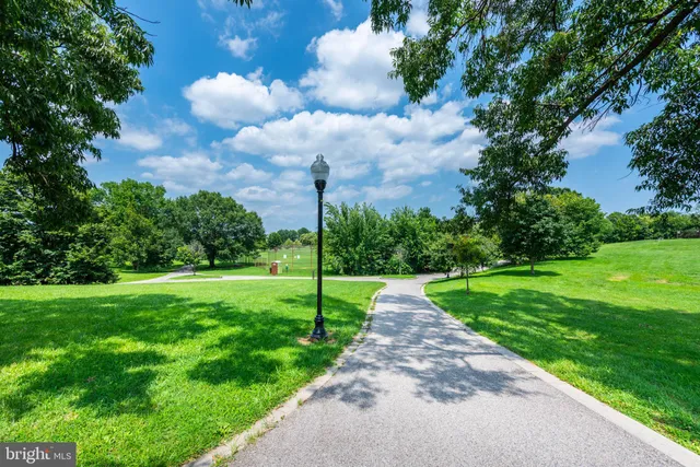 a view of a park with large trees