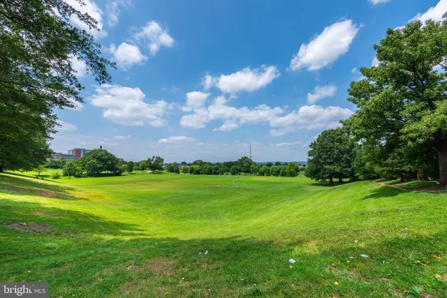 a view of a golf course with a lake