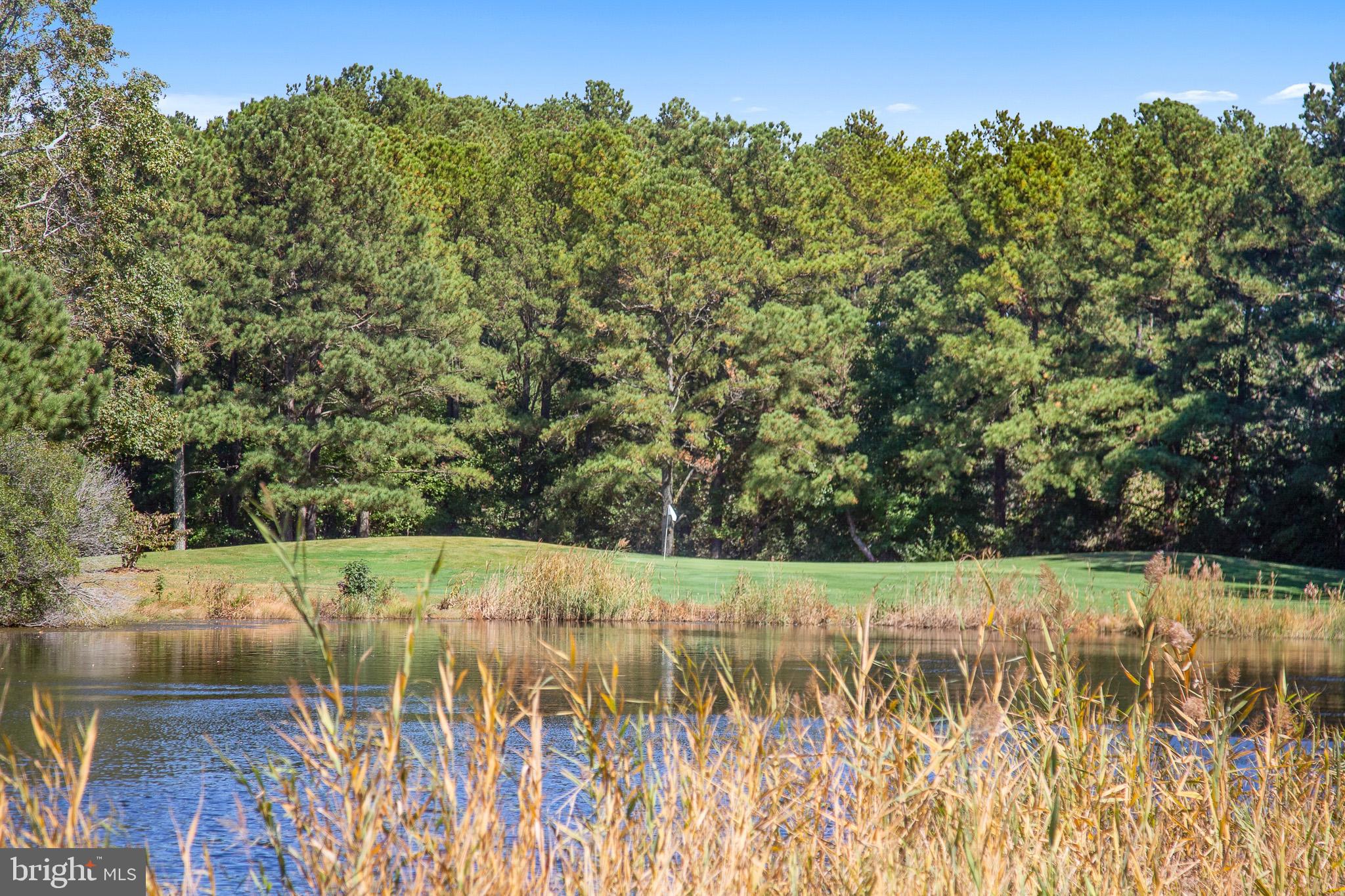 38744 Skipjack Village Road, Unit 14 Bethany Beach, DE 19930 - Photo 57 of 70