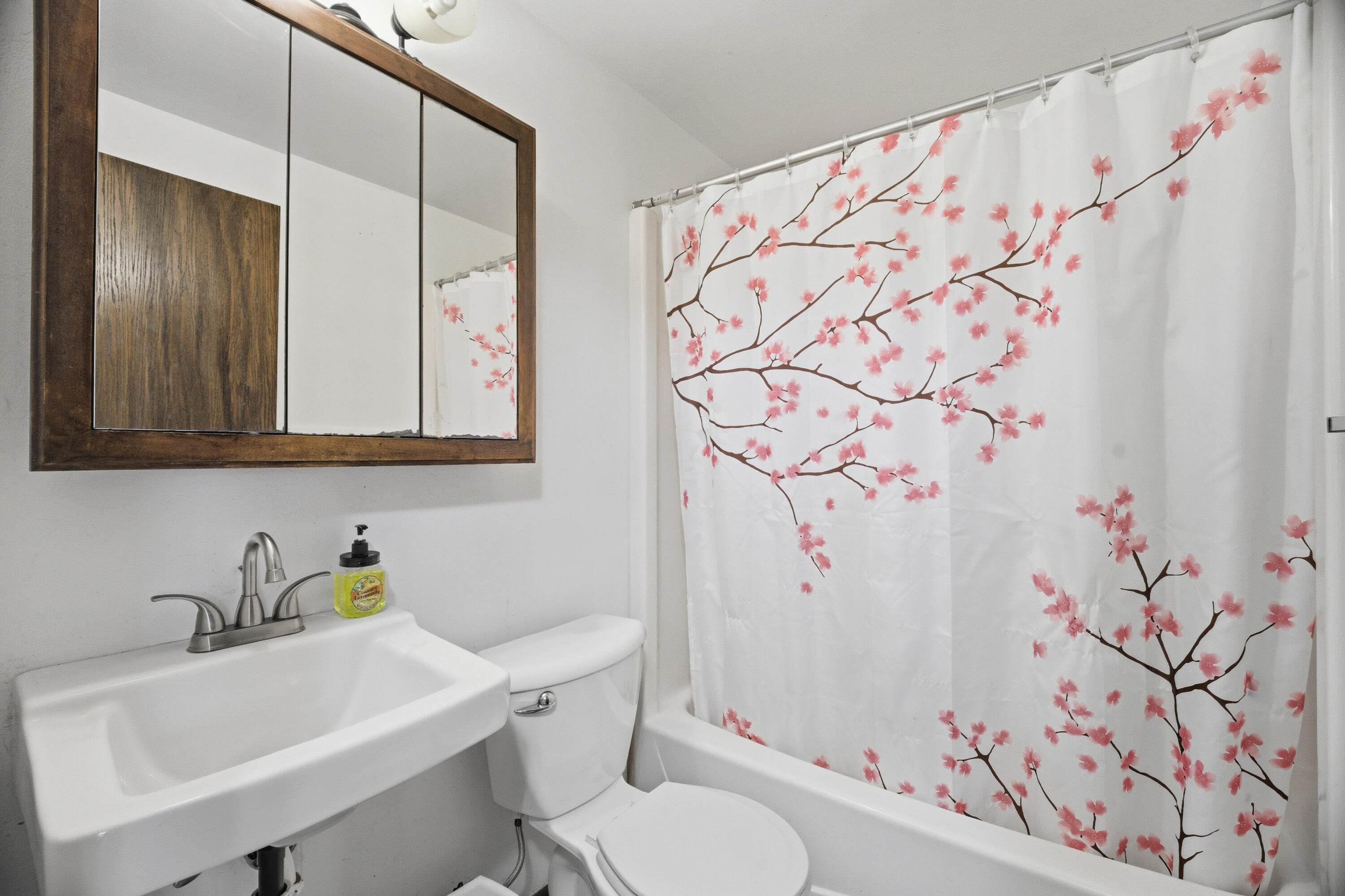 224 South Telulah Avenue Appleton, WI 54915 - Photo 20 of 31 Photo-14