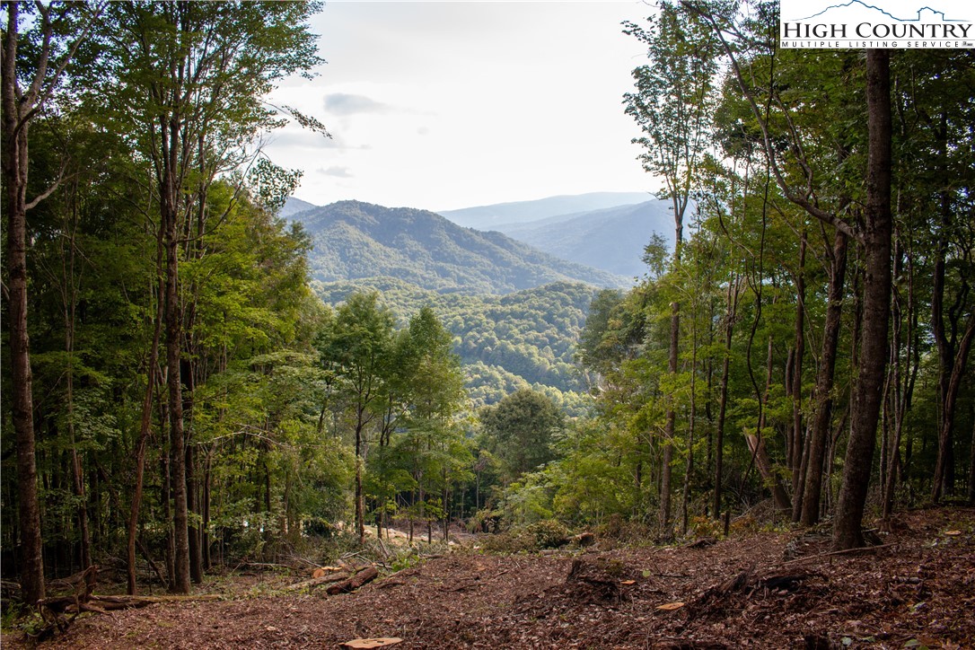 104 Bear Paw Road Elk Park, NC 28622 - Photo 3 of 7