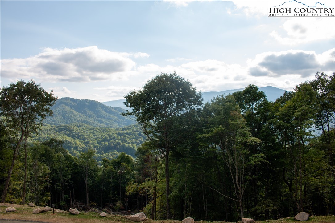 104 Bear Paw Road Elk Park, NC 28622 - Photo 4 of 7