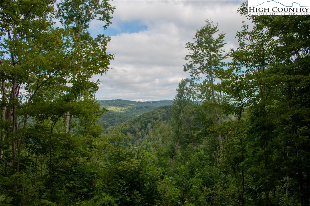 104 Bear Paw Road Elk Park, NC 28622 - Photo 5 of 7