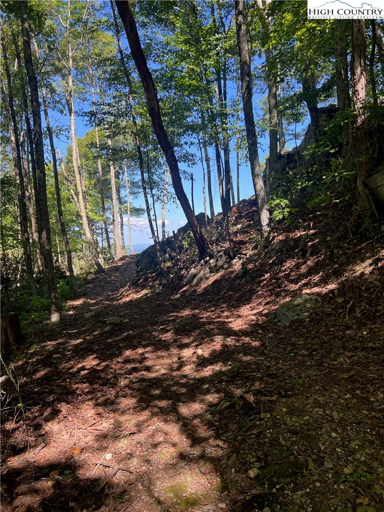 104 Bear Paw Road Elk Park, NC 28622 - Photo 7 of 7 a view of outdoor space and yard