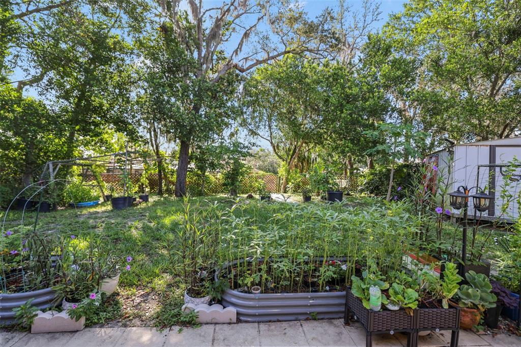 190 Rusk Circle Spring Hill, FL 34606 - Photo 11 of 35 a view of a garden with potted plants and large trees