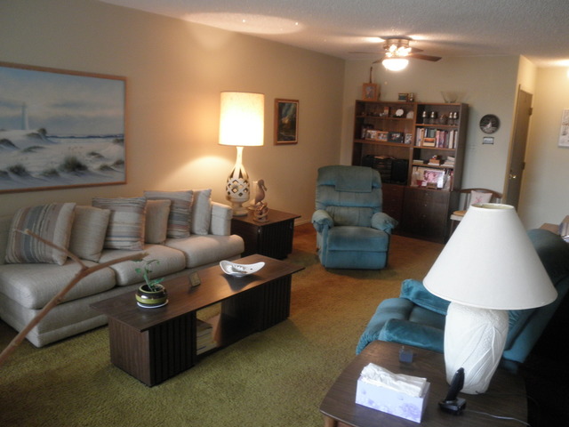 725 West Huntington Commons Road, Unit 419 Mount Prospect, IL 60056 - Photo 2 of 20 a living room with furniture and a lamp