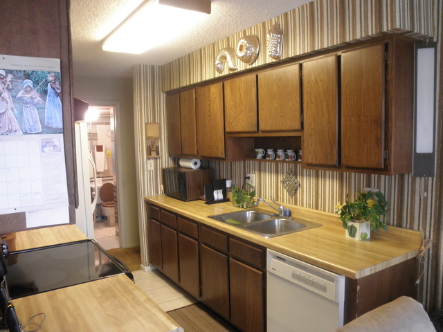 725 West Huntington Commons Road, Unit 419 Mount Prospect, IL 60056 - Photo 11 of 20 a kitchen with a sink and cabinets