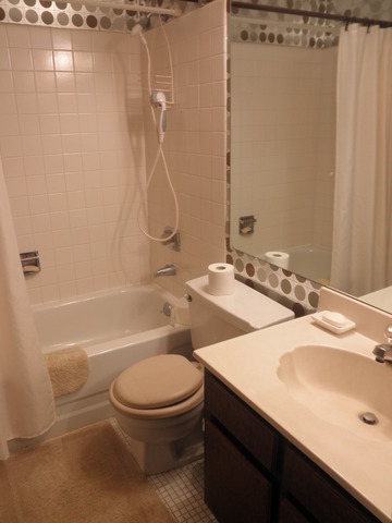 725 West Huntington Commons Road, Unit 419 Mount Prospect, IL 60056 - Photo 18 of 20 a bathroom with a sink a toilet and shower