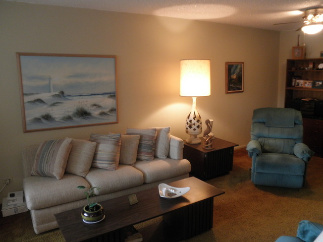 725 West Huntington Commons Road, Unit 419 Mount Prospect, IL 60056 - Photo 3 of 20 a living room with furniture and a lamp