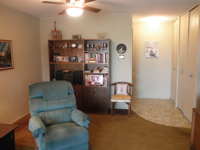 725 West Huntington Commons Road, Unit 419 Mount Prospect, IL 60056 - Photo 4 of 20 a living room with furniture and a couch