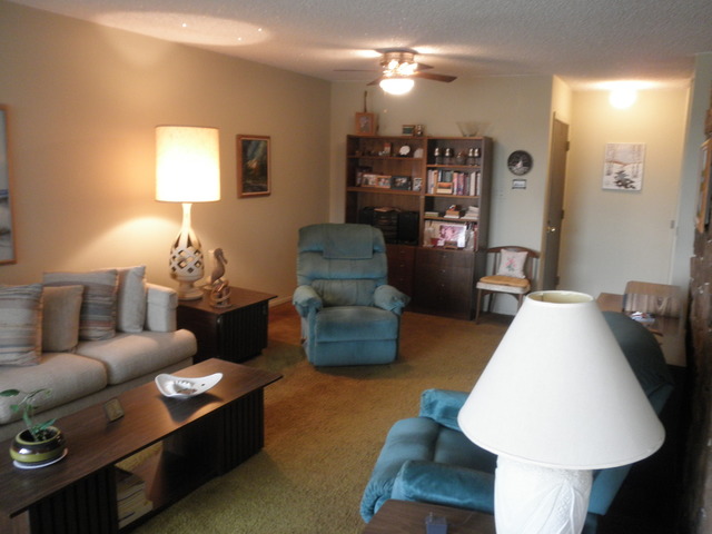 725 West Huntington Commons Road, Unit 419 Mount Prospect, IL 60056 - Photo 6 of 20 a living room with furniture and a lamp