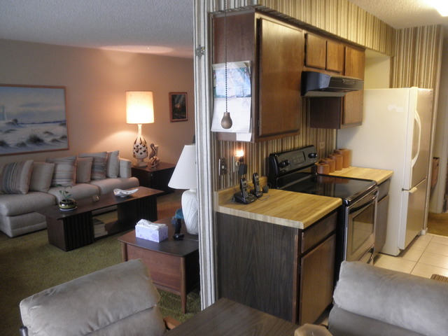 725 West Huntington Commons Road, Unit 419 Mount Prospect, IL 60056 - Photo 7 of 20 a living room with furniture a fireplace and a flat screen tv