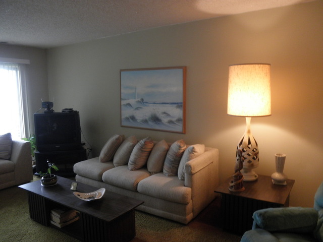 725 West Huntington Commons Road, Unit 419 Mount Prospect, IL 60056 - Photo 9 of 20 a living room with furniture and a lamp