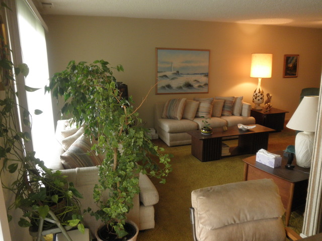 725 West Huntington Commons Road, Unit 419 Mount Prospect, IL 60056 - Photo 10 of 20 a living room with furniture and a potted plant
