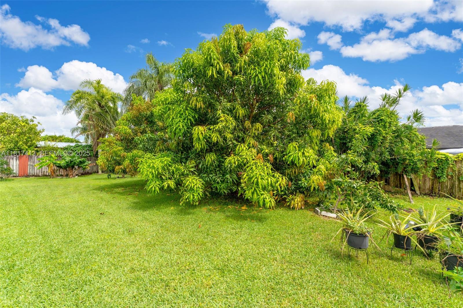 16040 Southwest 287th Street Homestead, FL 33033 - Photo 20 of 48 a backyard of a house with lots of green space