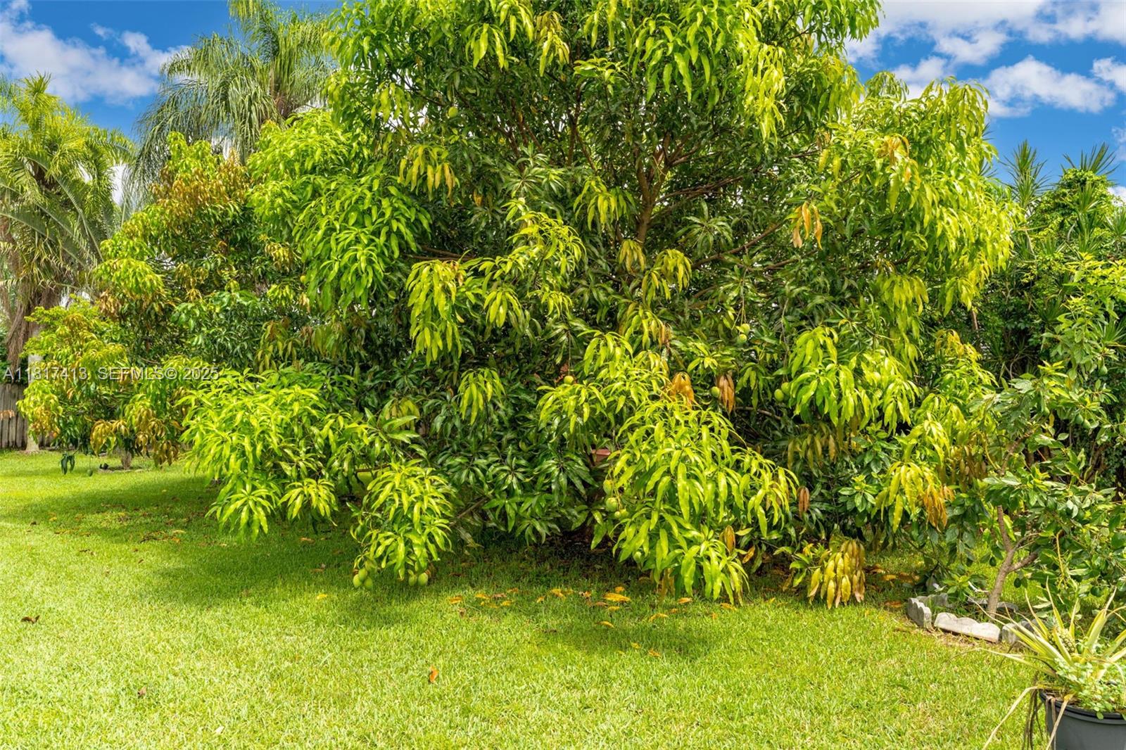 16040 Southwest 287th Street Homestead, FL 33033 - Photo 21 of 48 a view of yard with green space