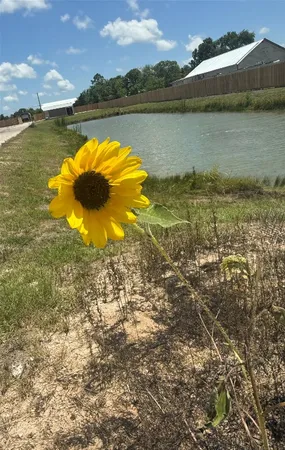 $500 | 17310 Cowan Road, Alvin, TX 77511