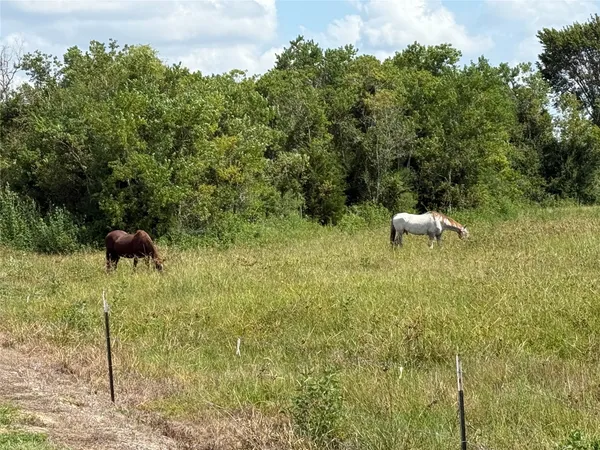 $500 | 17310 Cowan Road, Alvin, TX 77511