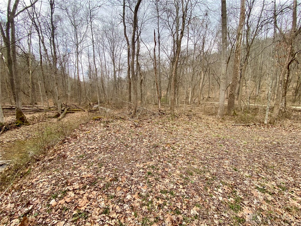 20 Beech Fork Road Lucasville, OH 45648 - Photo 4 of 17