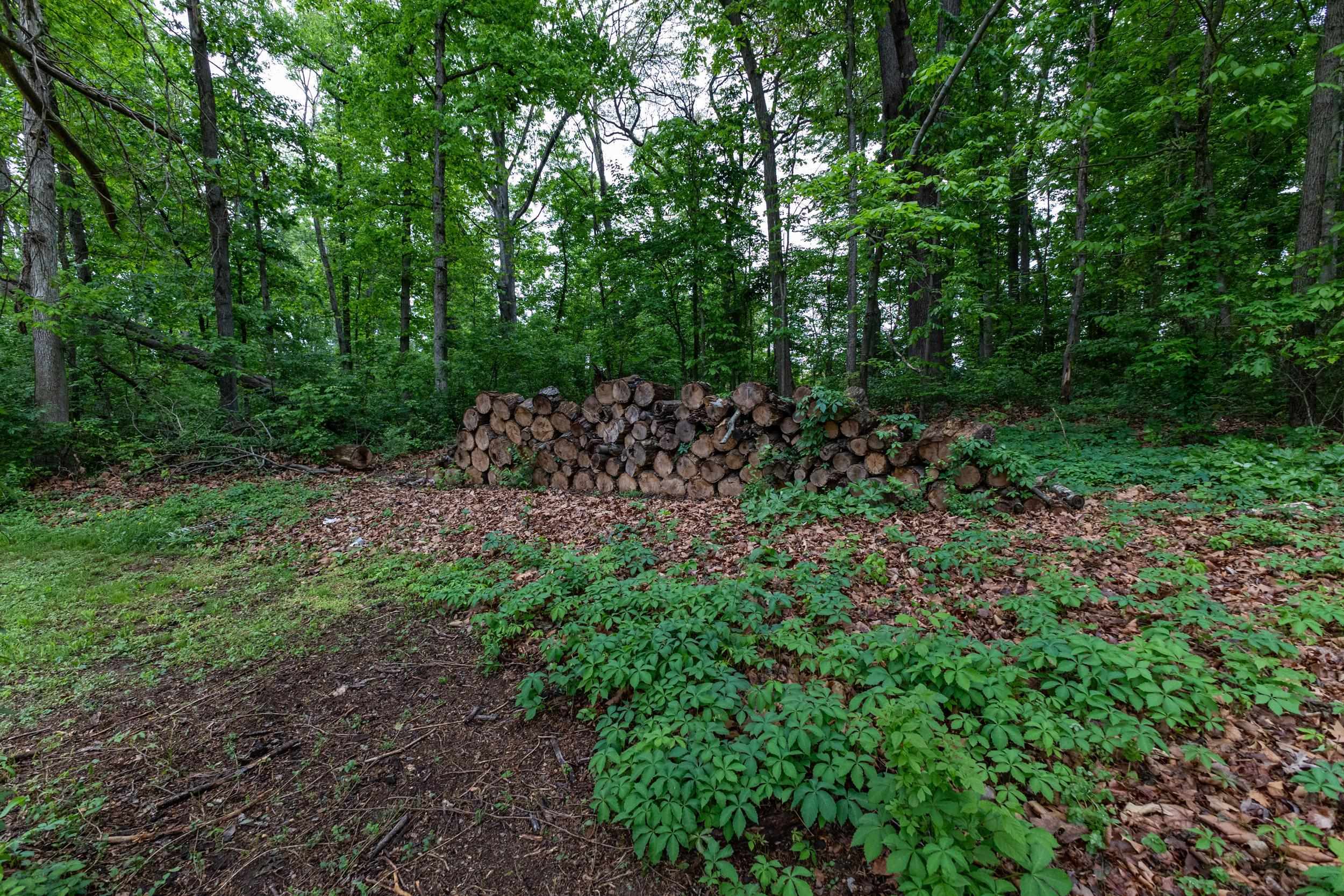 13896 Rockingham Pike Elkton, VA 22827 - Photo 15 of 60 a view of a large yard with lots of green space