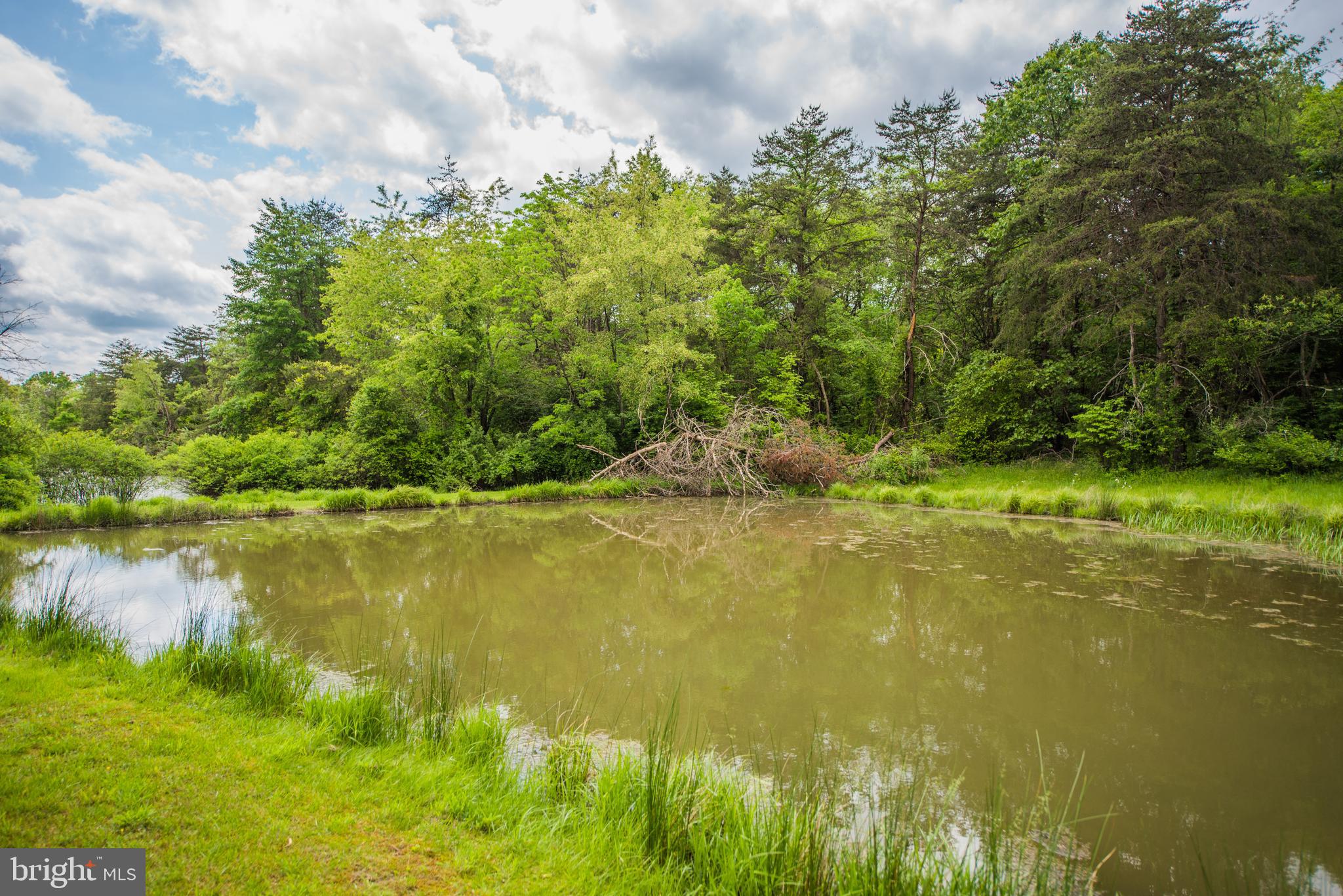 198 Packing House Road Berkeley Springs, WV 25411 - Photo 17 of 53 View of Pond