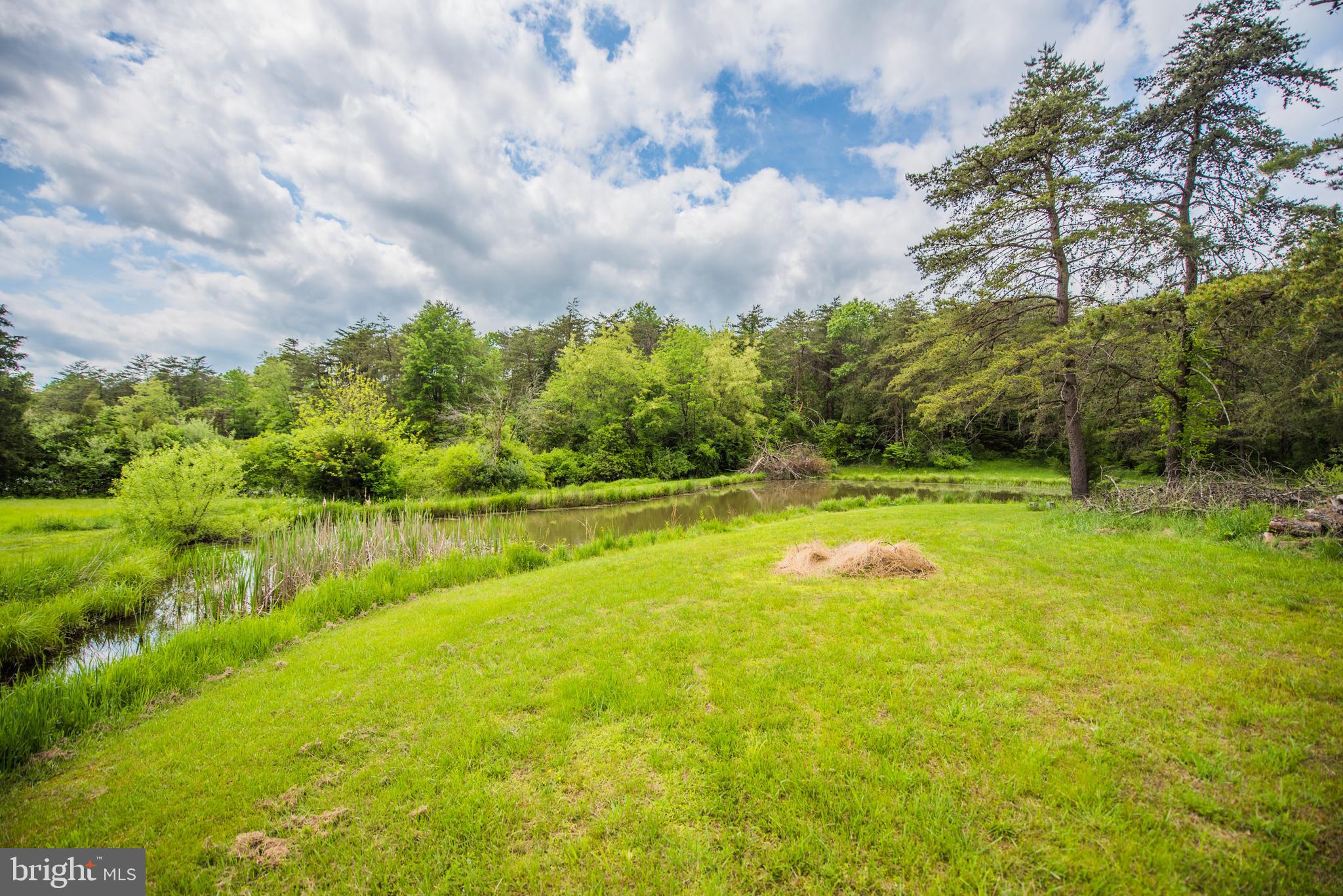 198 Packing House Road Berkeley Springs, WV 25411 - Photo 18 of 53 Pond