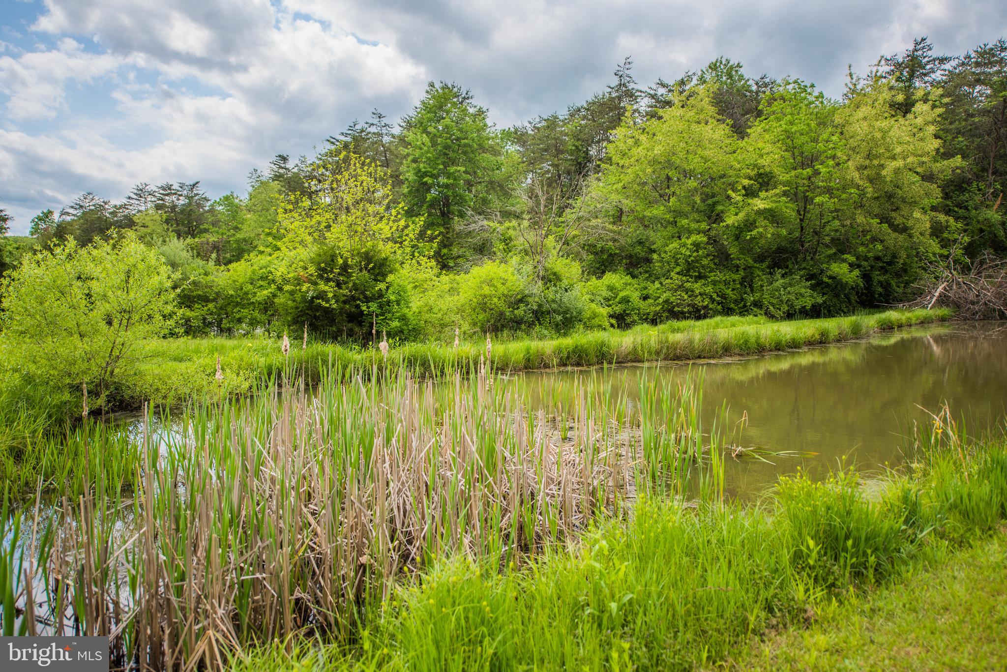 198 Packing House Road Berkeley Springs, WV 25411 - Photo 19 of 53 Pond