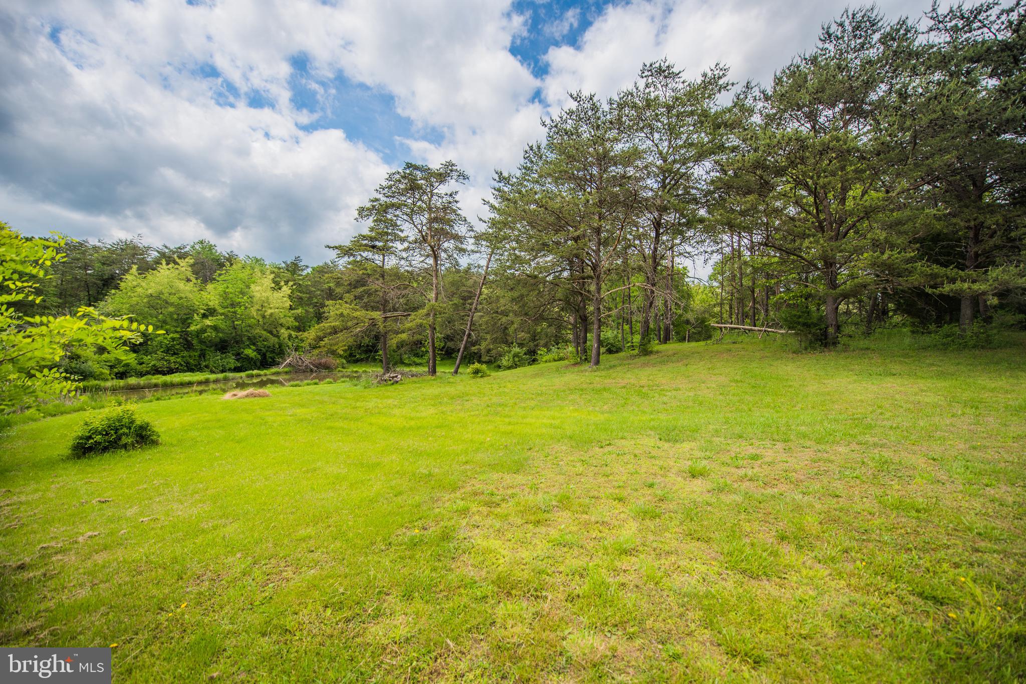 198 Packing House Road Berkeley Springs, WV 25411 - Photo 20 of 53 Other side of Pond