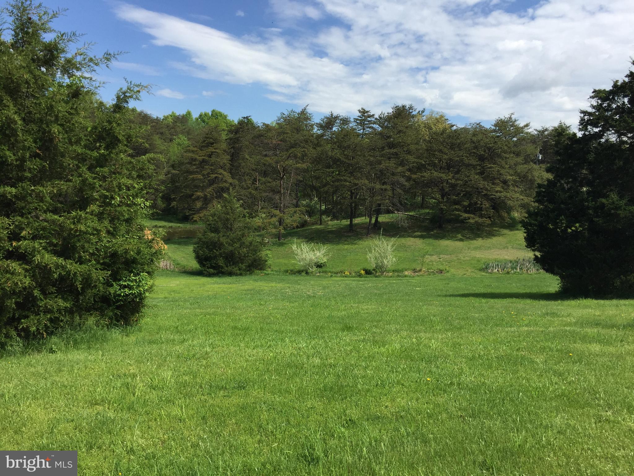 198 Packing House Road Berkeley Springs, WV 25411 - Photo 4 of 53 View towards the Pond