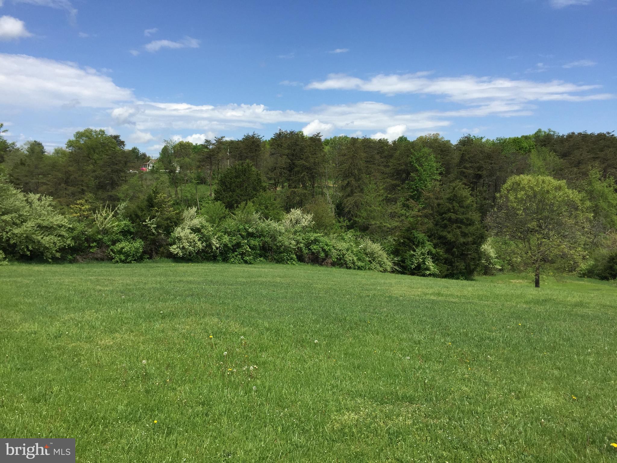 198 Packing House Road Berkeley Springs, WV 25411 - Photo 7 of 53 View to the West