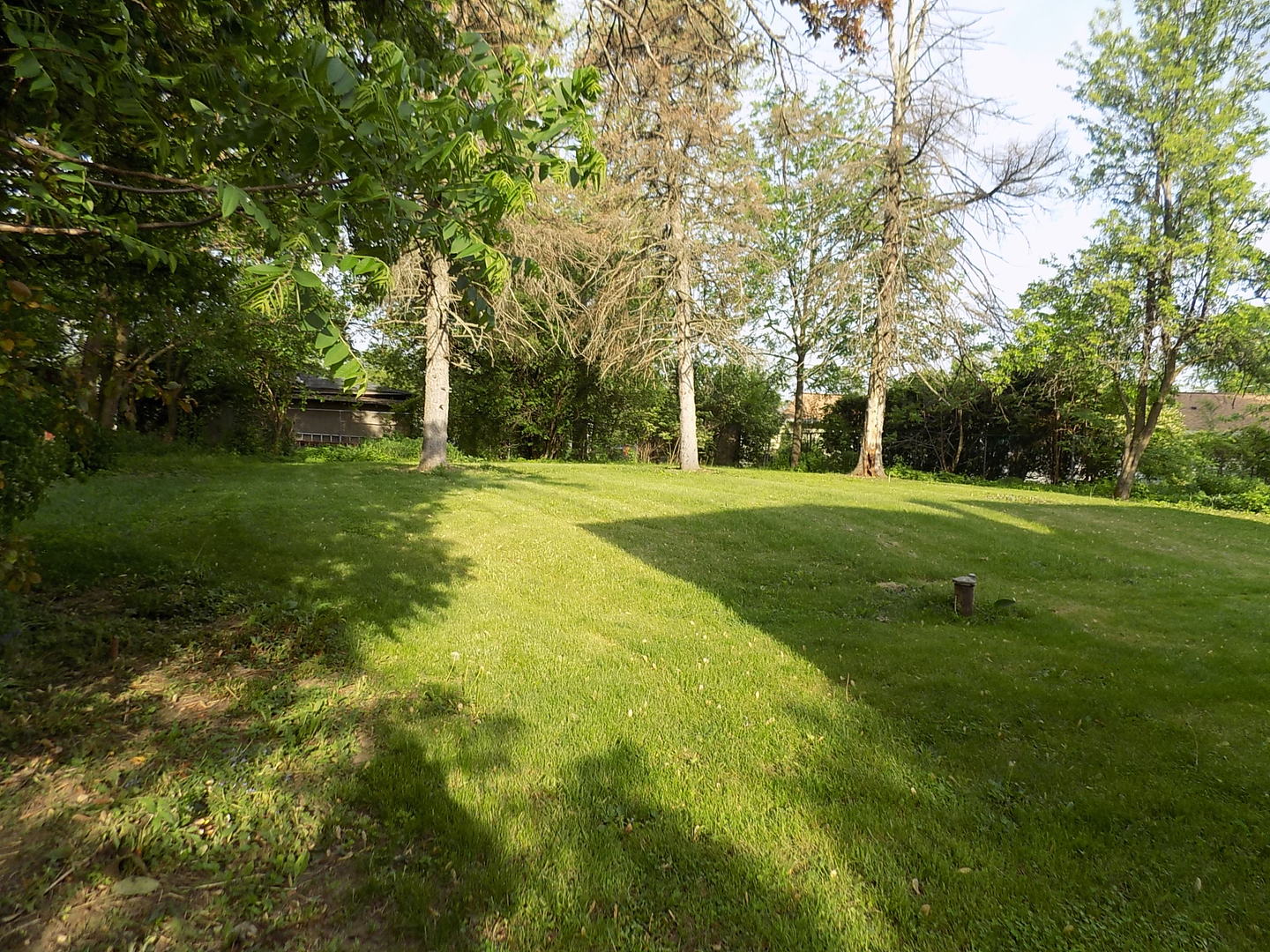 14439 Smith Road Lockport, IL 60441 - Photo 4 of 36