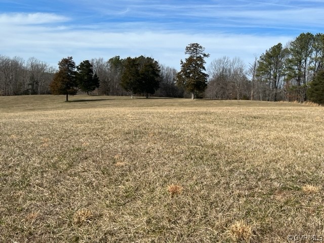 976 Douglas Church Road Farmville, VA 23901 - Photo 13 of 44 Gallery Image 13