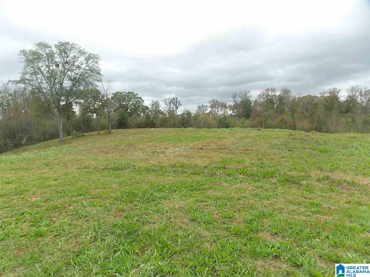 44 Sage Road Altoona, AL 35952 - Photo 18 of 29