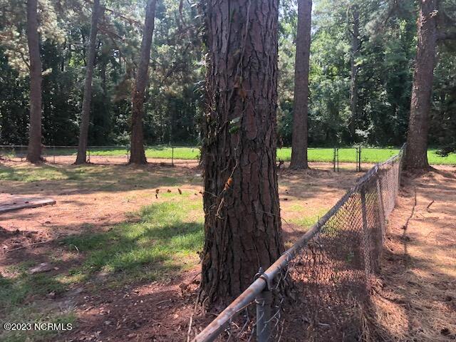 4156 Frank Price Church Road Wilson, NC 27893 - Photo 16 of 19 IMG_9387