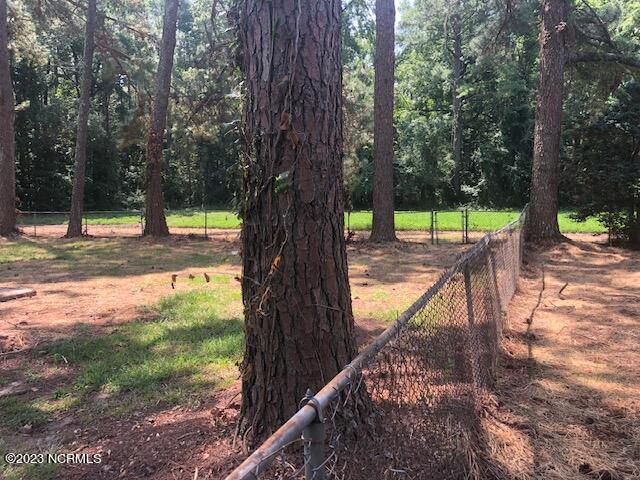 4156 Frank Price Church Road Wilson, NC 27893 - Photo 17 of 19 IMG_9388