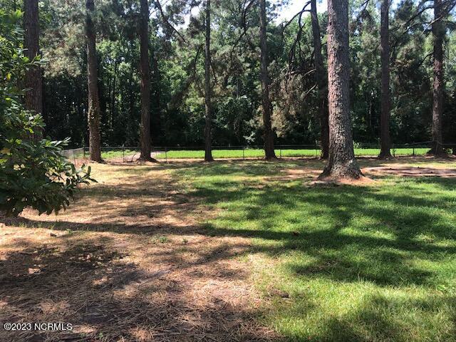 4156 Frank Price Church Road Wilson, NC 27893 - Photo 18 of 19 IMG_9382