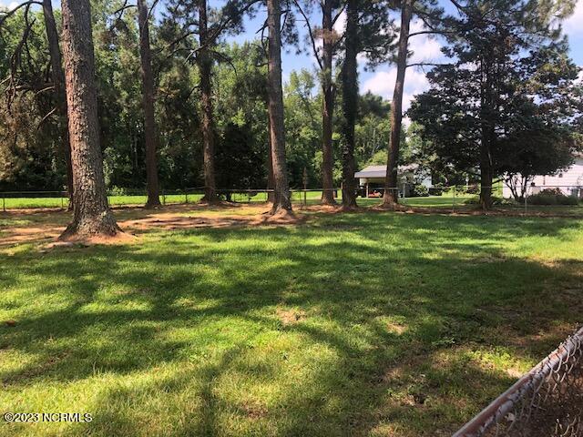 4156 Frank Price Church Road Wilson, NC 27893 - Photo 19 of 19 IMG_9383