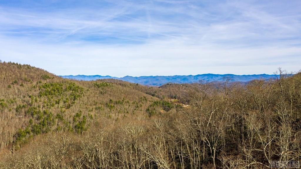 0 Mill Creek Road Cullowhee, NC 28723 - Photo 5 of 15 Gallery Image 5
