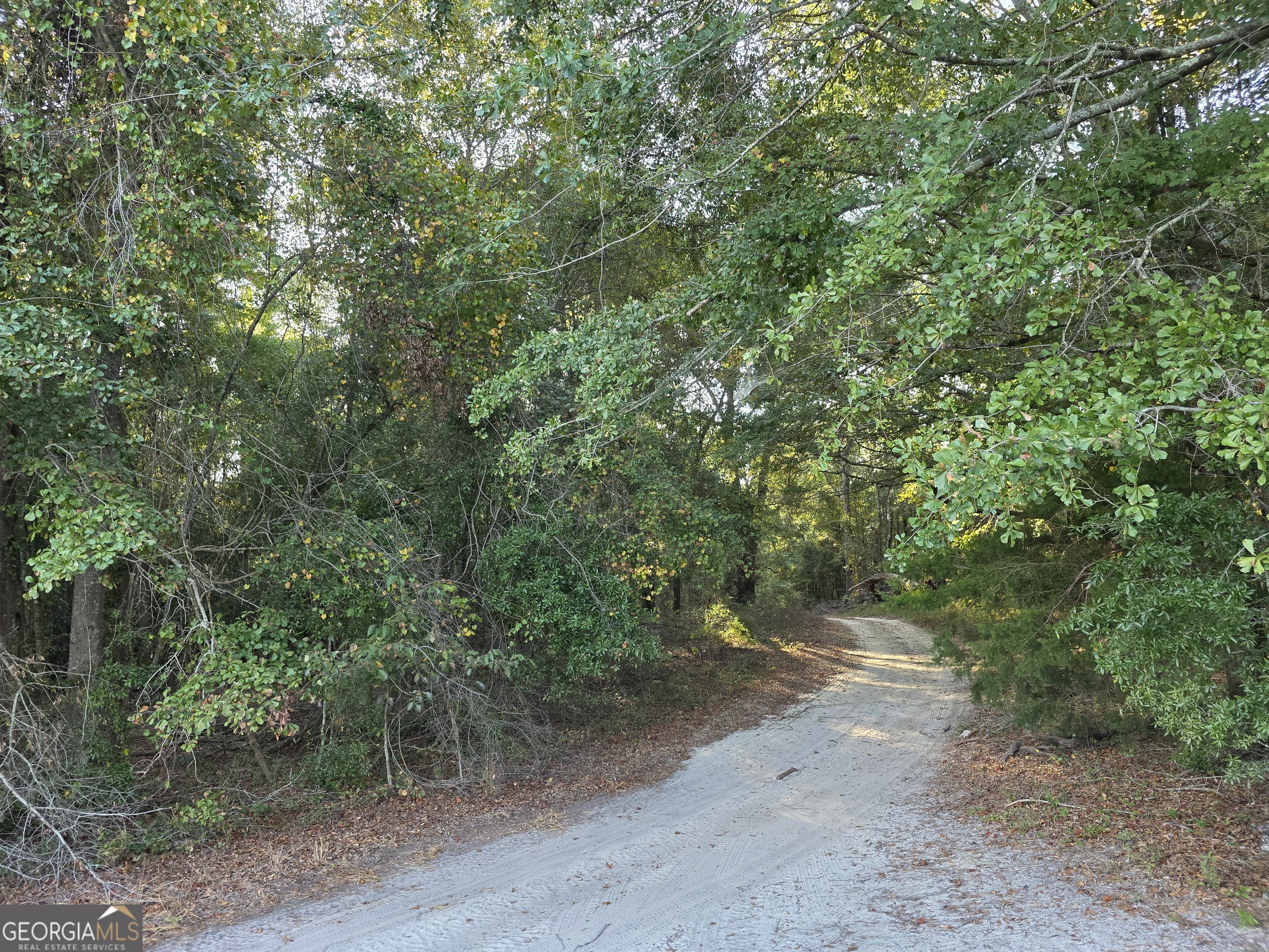 0 Perkins Rowe Road Millen, GA 30442 - Photo 1 of 1 Gallery Image 1