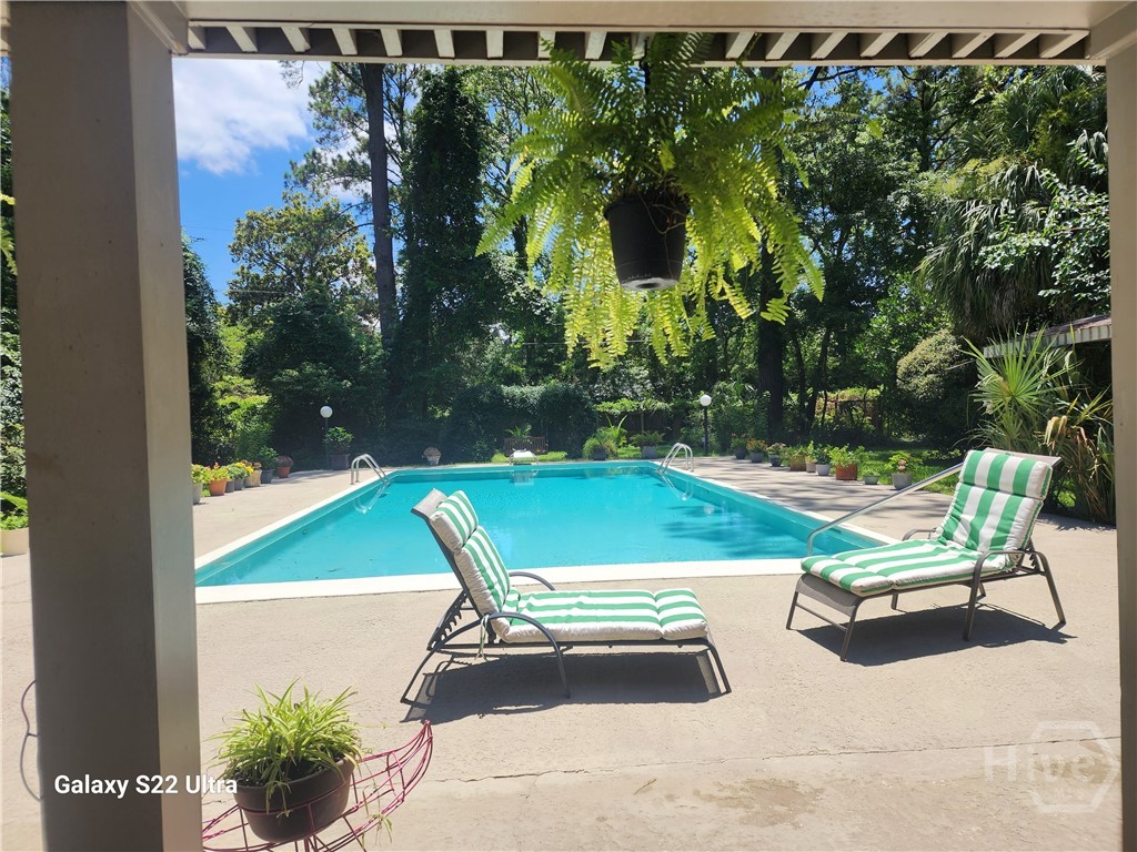 207 Devonshire Road Savannah, GA 31410 - Photo 6 of 13 20 x 40 saltwater pool
