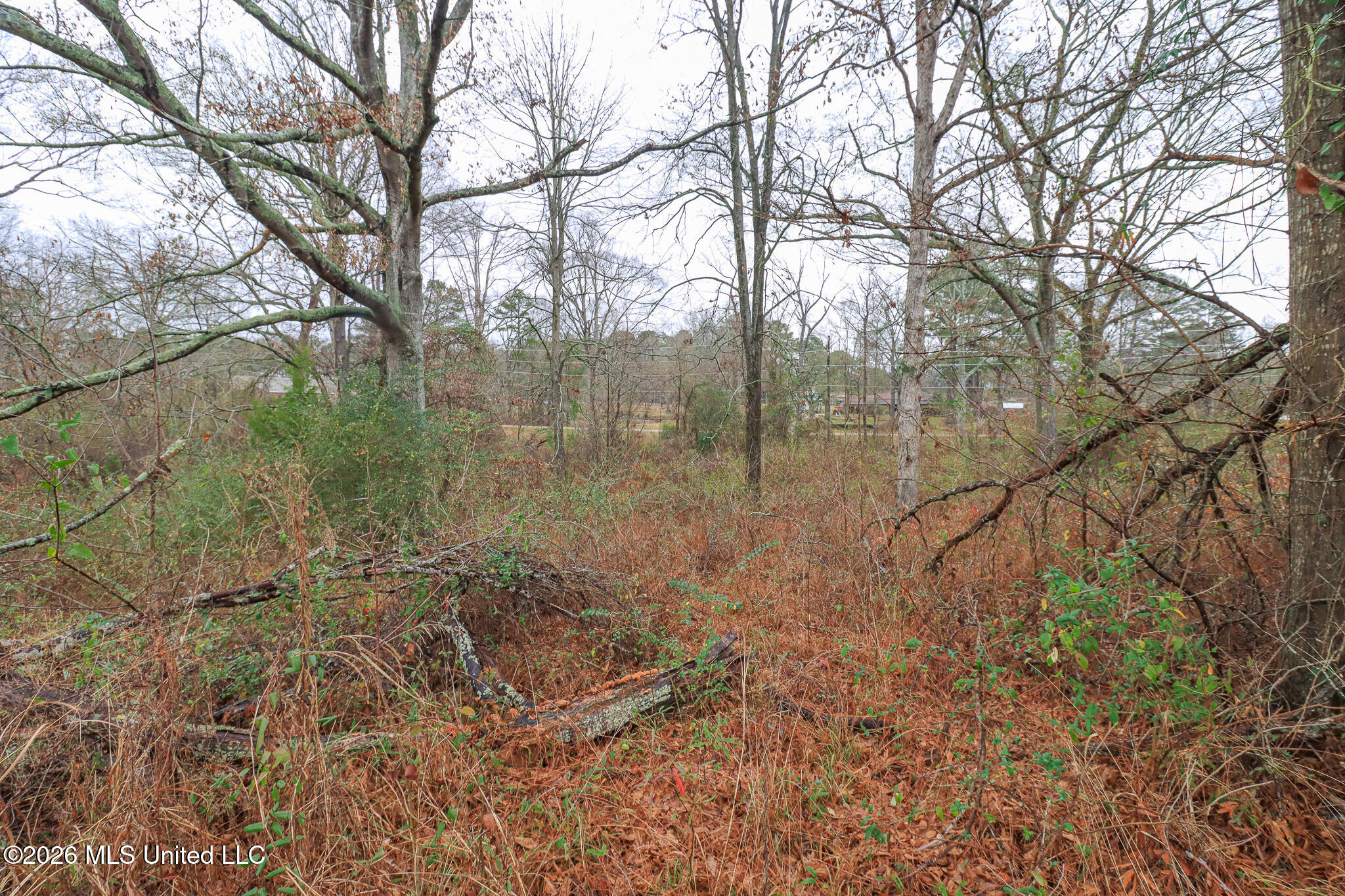 Old Brandon Road Pearl, MS 39208 - Photo 10 of 11 El Dorado Corner 12